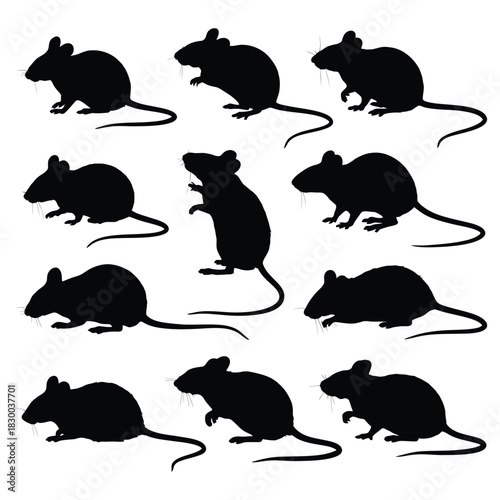 A simple vector set of black animal silhouettes