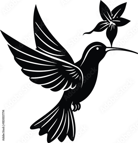 Hummingbird silhouette vector feeding at flower with blurred wings