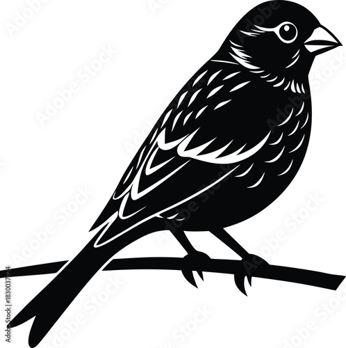 Finch silhouette vector perched on branch with strong conical beak
