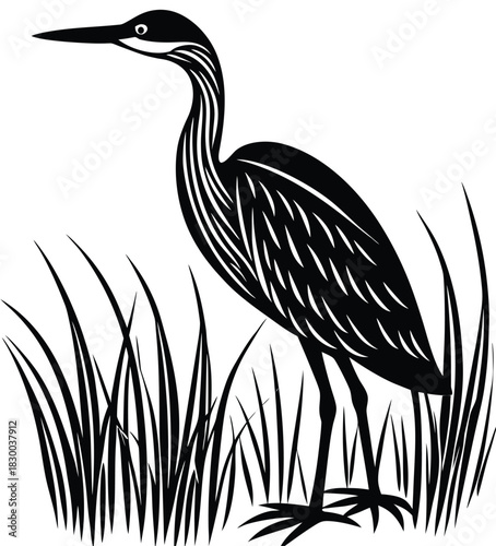 Bittern silhouette vector standing vertical among minimal marsh reeds