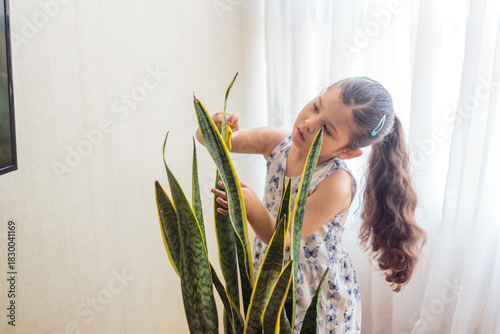 Niña concentrada en cuidar una planta