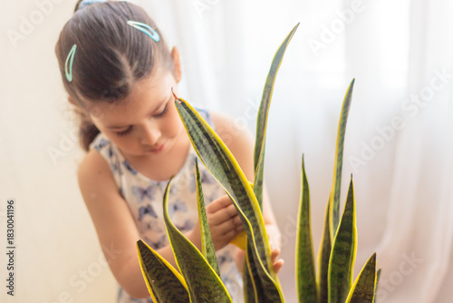 Niña concentrada en cuidar una planta