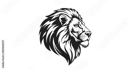 Majestic Lion Head Illustration with Detailed Mane and Facial Features.
