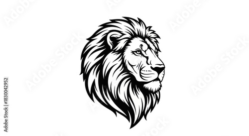 Majestic Lion Head Illustration with Detailed Mane and Powerful Gaze.