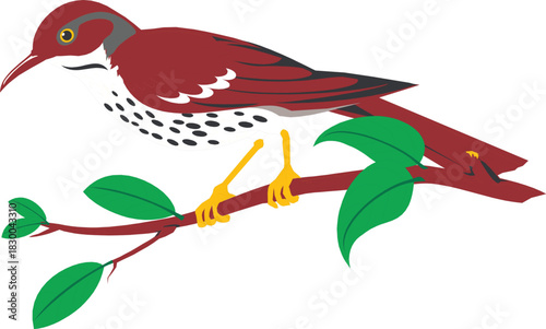 Colorful Stippled Bird on a Branch