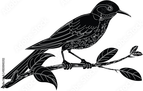 Bird on Branch Silhouette