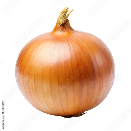 Wallpaper Mural Onion Isolated on Transparent Background Torontodigital.ca