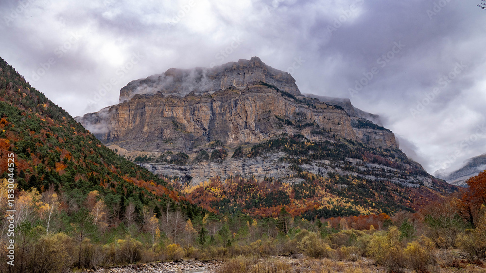 Fototapeta premium autumn landscape