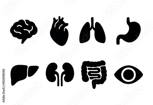 Human internal organs solid icons — brain, heart, lungs, liver, kidneys — stock vector.