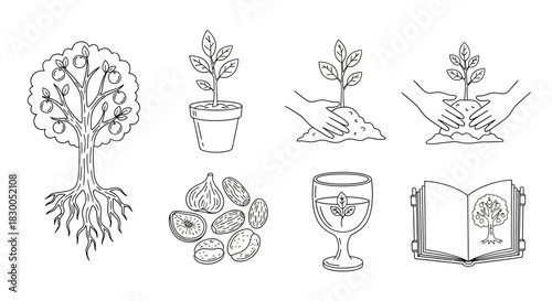 Sustainable gardening techniques: from sapling to harvest in simple line art
