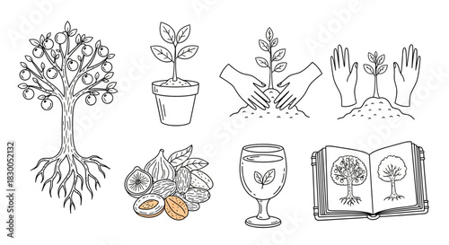 Hand drawn planting and growth illustrations with fruit, trees, and gardening elements