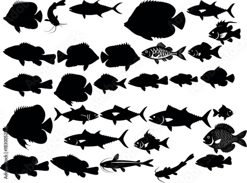 Collection of different fish silhouette for logo vector illustration symbol