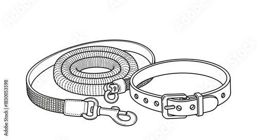 Pet collar and leash set in black and white line art