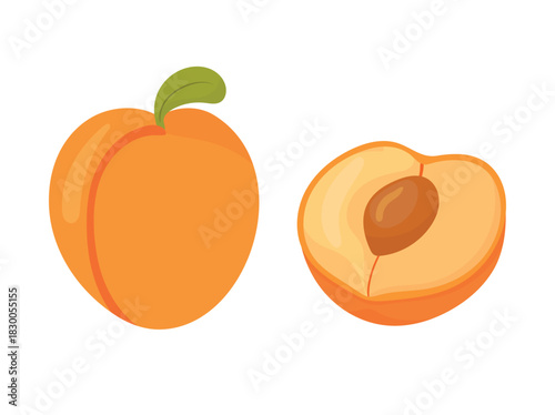 Apricot. Flat vector clipart illustration with isolated background.