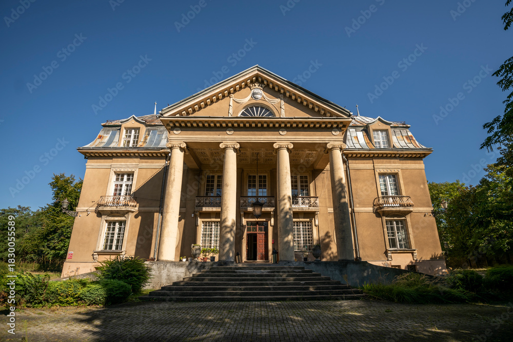 Fototapeta premium Abandoned Historic Mansion Interior With Atmospheric Decay and Detailed Old Architecture