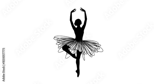 Elegant silhouette of a ballet dancer with intricate tutu and poised stance capturing grace and