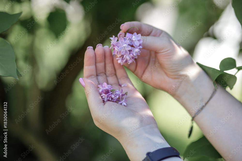image to crop