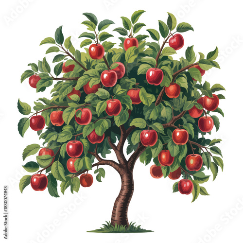 A vibrant healthy apple tree laden with ripe red apples showcasing lush green leaves and a sturdy brown trunk against a clean white background symbolizing abundance and harvest season