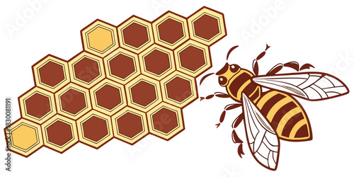 Honeybee and honeycomb illustration, perfect for nature, food, or beekeeping-themed designs.