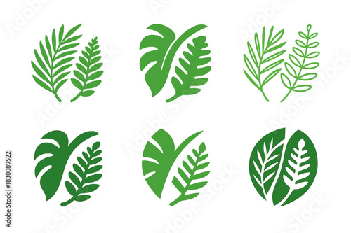 Tropical Logo Variations. Tropical rainforest. Set Logo of Tropical rainforest: palm frond and fern pair. harmonious logo variations of the same emblematic