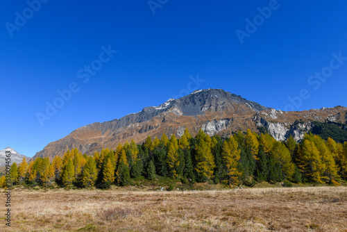 High mountain panorama in October with yellow and orange colored trees, blue sky and light snow on the mountain tops