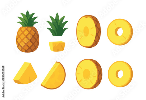 Adobe Illustrator Artwork