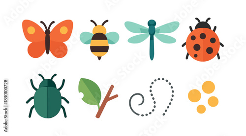 Insect collection, butterfly, dragonfly, flat vector illustration