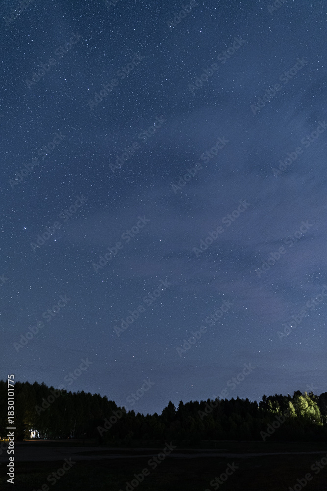 Fototapeta premium Under a vast night sky, stars twinkle above a serene forest. In the distance, a small house glows softly, reflecting tranquility and nature's beauty at night