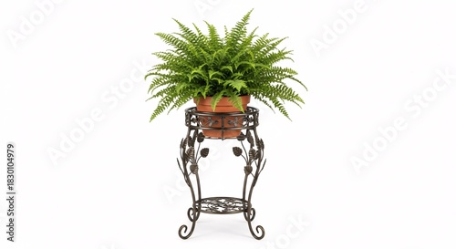 Fern plant in decorative stand isolated on white background for design use