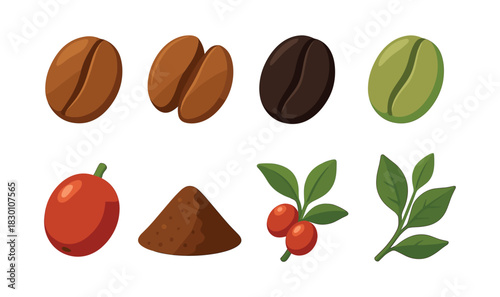 Coffee beans and leaves, flat vector illustration, caffeine, organic, botanical