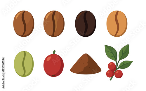 Coffee bean types and berries, flat vector illustration, cafe elements