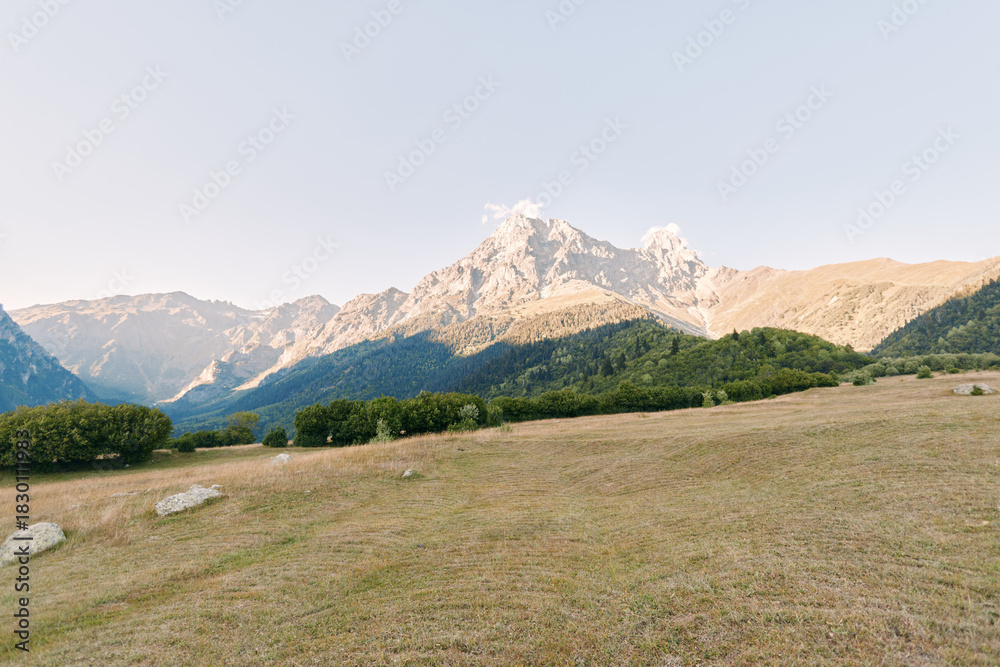 Fototapeta premium Mountain meadow field with dry grass and alpine peak in background, wide nature landscape under clear sky, sunlight on slopes and distant forested foothills creating peaceful scene.