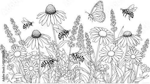 Wildflowers with Bees and Butterfly View Black and White Outline Line Art Drawing Botanical Engraving
