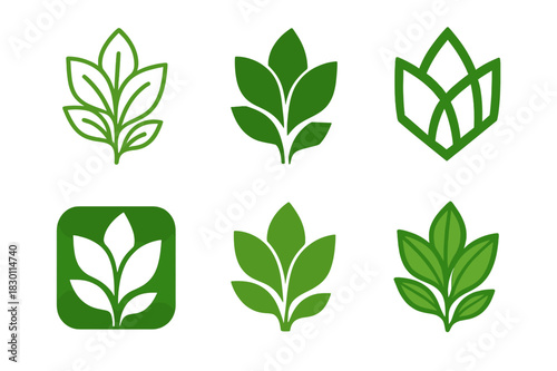 Greenery Logo Variations. greenery. Icon set. Set Logo of greenery: lush leafy plant. harmonious logo variations of the same emblematic concept, each with