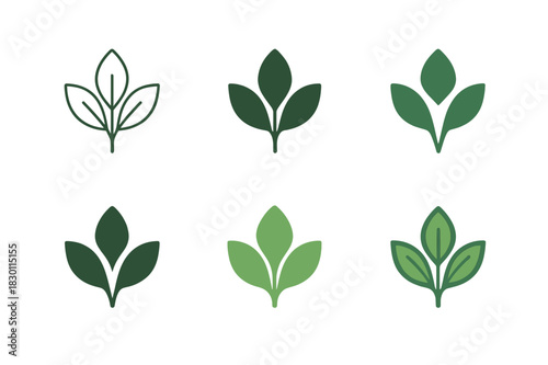 Greenery Logo Variations. greenery. Icon set. Set Logo of greenery: lush leafy plant. harmonious logo variations of the same emblematic concept, each with
