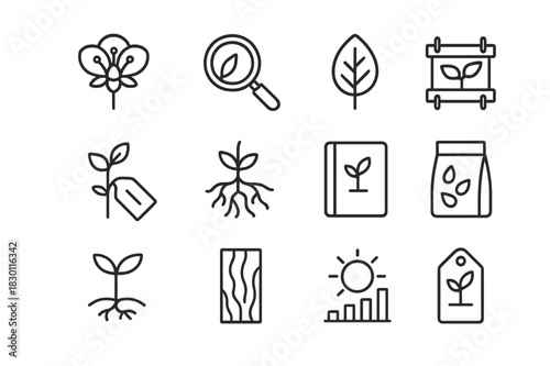 Botany Icon Set. Botany exploration. Line icon set of botany exploration: flower diagram, magnifying glass, leaf sample, plant press, labeled plant, roots