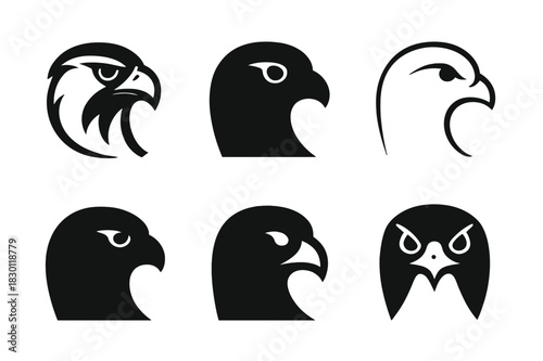 Falcon Logo Variations. Falcons. Icon set. Set Logo of Falcons: Falcon Head. harmonious logo variations of the same emblematic concept (Stylized detail, Iconic