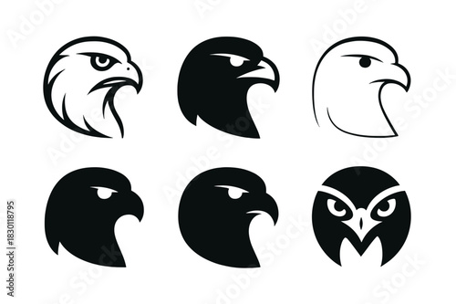 Falcon Logo Variations. Falcons. Icon set. Set Logo of Falcons: Falcon Head. harmonious logo variations of the same emblematic concept (Stylized detail, Iconic