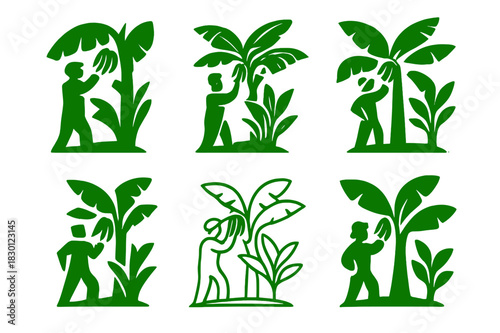 Banana Plantation Logos. banana plantation. Icon set. Set Logo of banana plantation: farm workers harvesting bananas. harmonious logo variations of the same