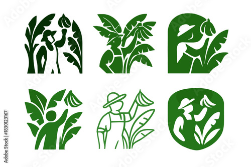 Banana Plantation Logos. banana plantation. Icon set. Set Logo of banana plantation: farm workers harvesting bananas. harmonious logo variations of the same