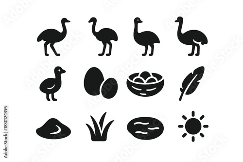 Flightless Bird Icons. Flightless bird. Solid icon set of Flightless bird: ostrich, rhea, emu, adult ostrich, baby ostrich, egg, nest, feather, sand dune,