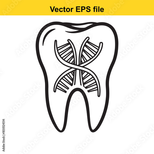 Outline vector illustration of a human molar tooth containing a stylized representation of a double helix dna structure inside, isolated on white background