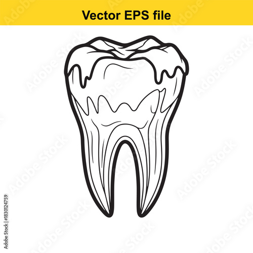 Black and white outline drawing of a molar tooth showing internal structure, isolated on white background, perfect for dental or medical illustration