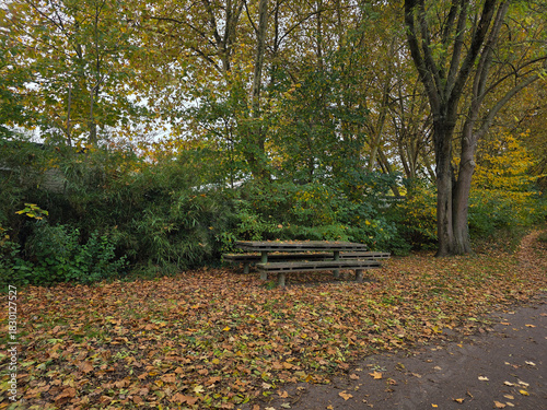 bench in autumn park