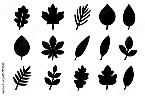 Tree Leaves Icons. Tree leaves. Solid icon set of Tree leaves: oak leaf, maple leaf, pine needle, birch leaf, elm leaf, chestnut leaf, willow leaf, ginkgo