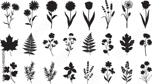 Detailed black floral and leaf silhouettes arranged in rows featuring diverse botanical shapes and wildflower forms, Concept of nature, botany and floral design