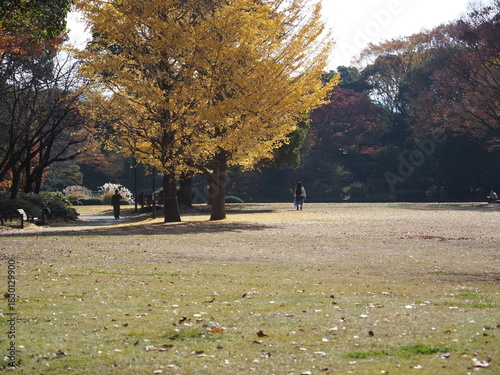 北の丸公園の風景