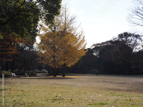 北の丸公園の風景