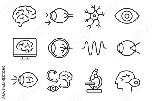 Eye-Brain Interaction Icons. Eye and brain interaction. Line icon set of eye and brain interaction: brain, optic nerve, neuron, eye, arrows, fMRI scan, retina,