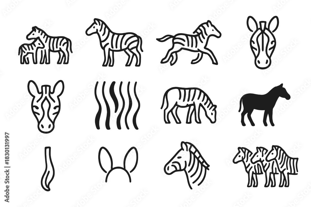 Obraz premium Zebra Family Icons. Zebra Family Icons. Line icon set of Zebra Family Icons: zebra with foal, standing zebra, running zebra, zebra head, zebra face close-up,